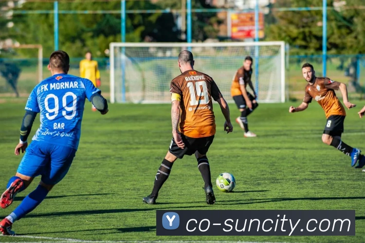 太阳城网站服务体系